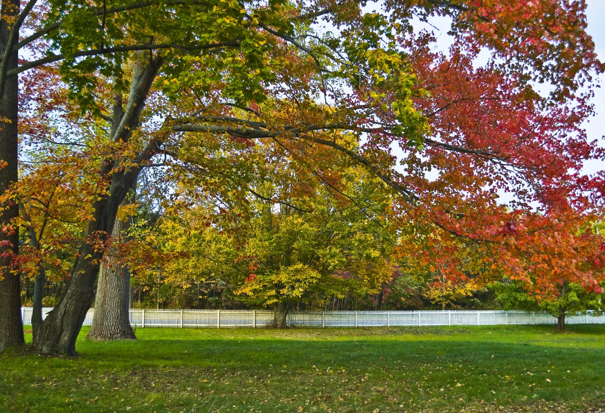 Highlands Hero Image