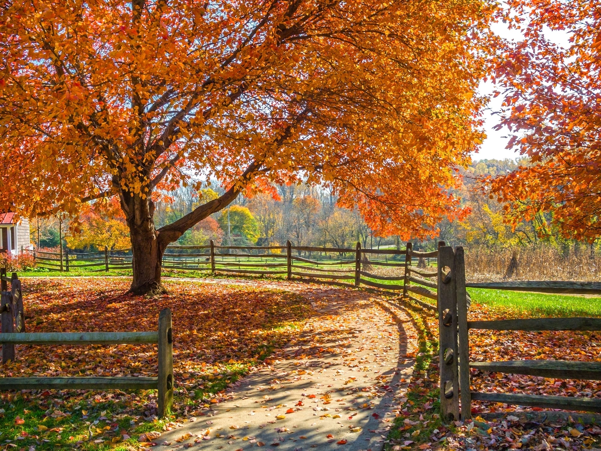 Holmdel Hero Image