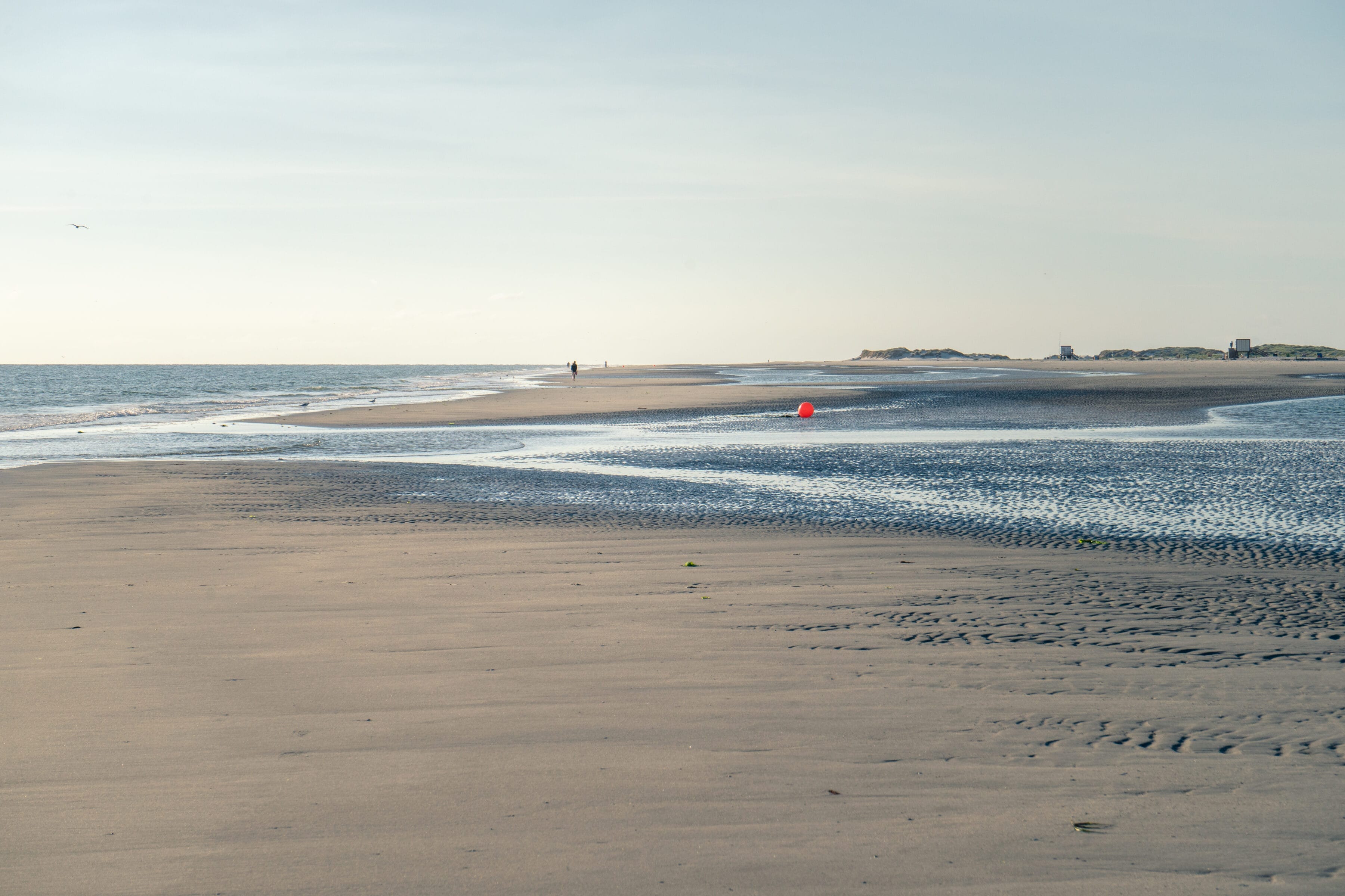 Sea Bright Hero Image