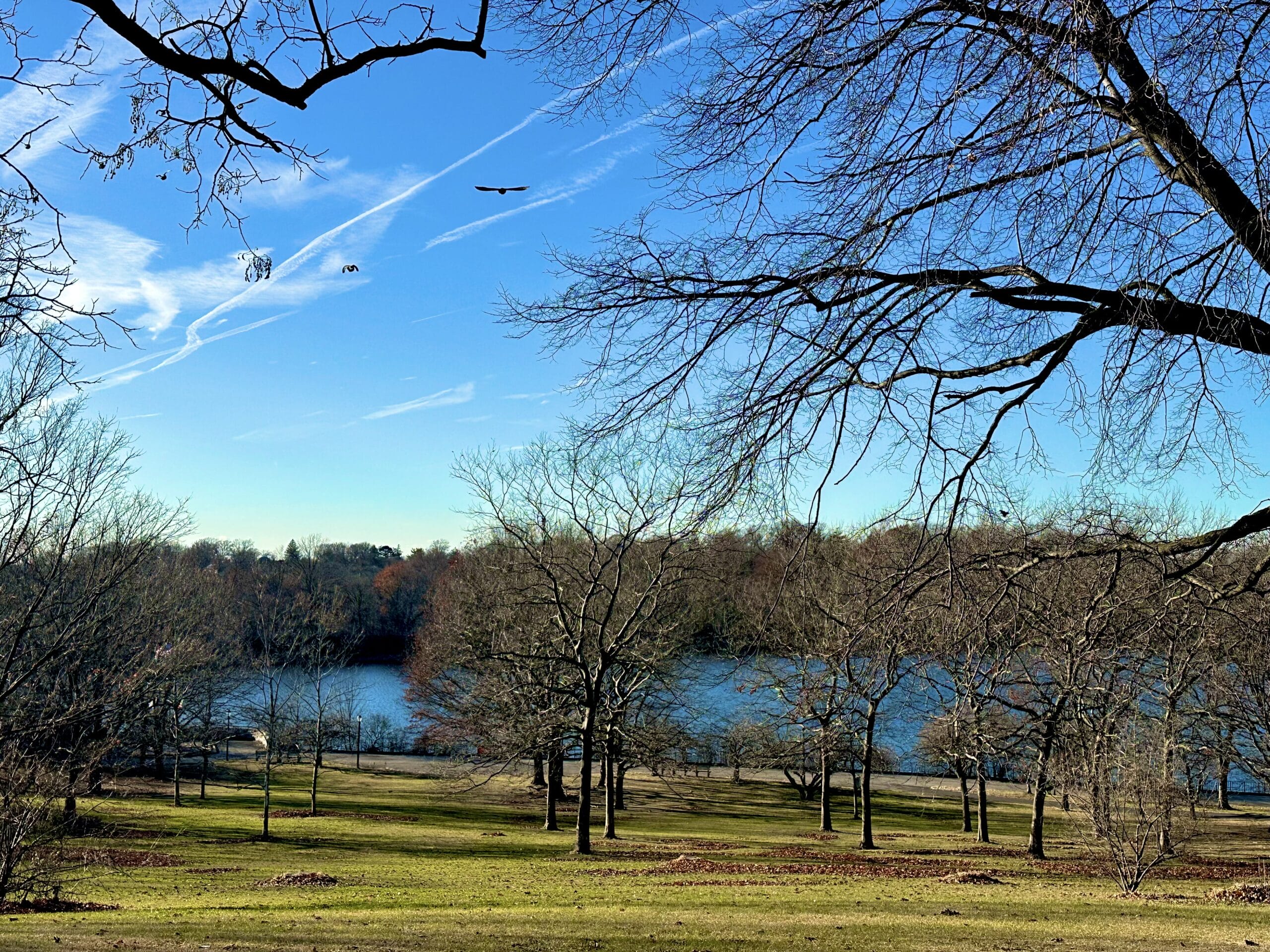 Silver Lake Hero Image