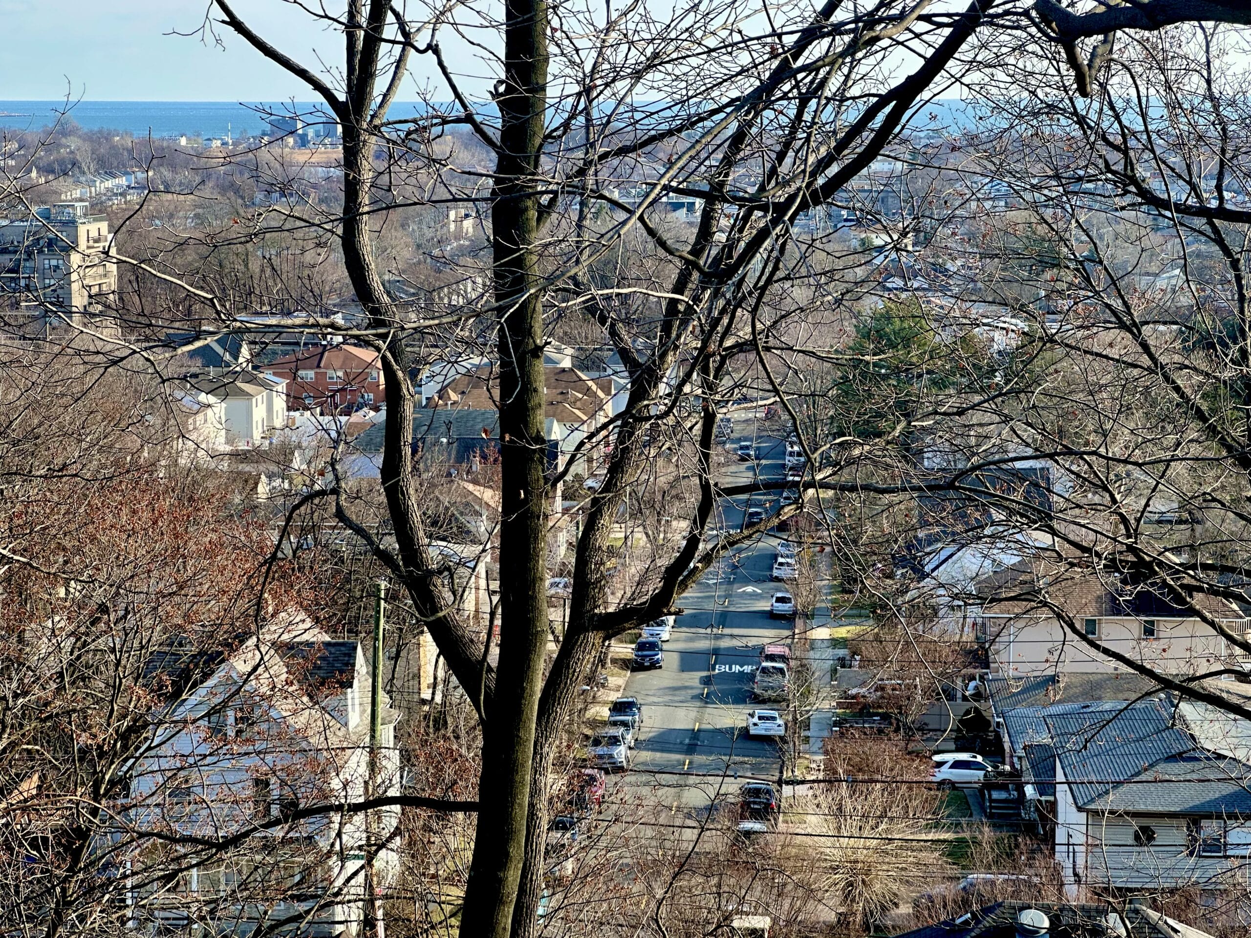 Dongan Hills Colony Hero Image