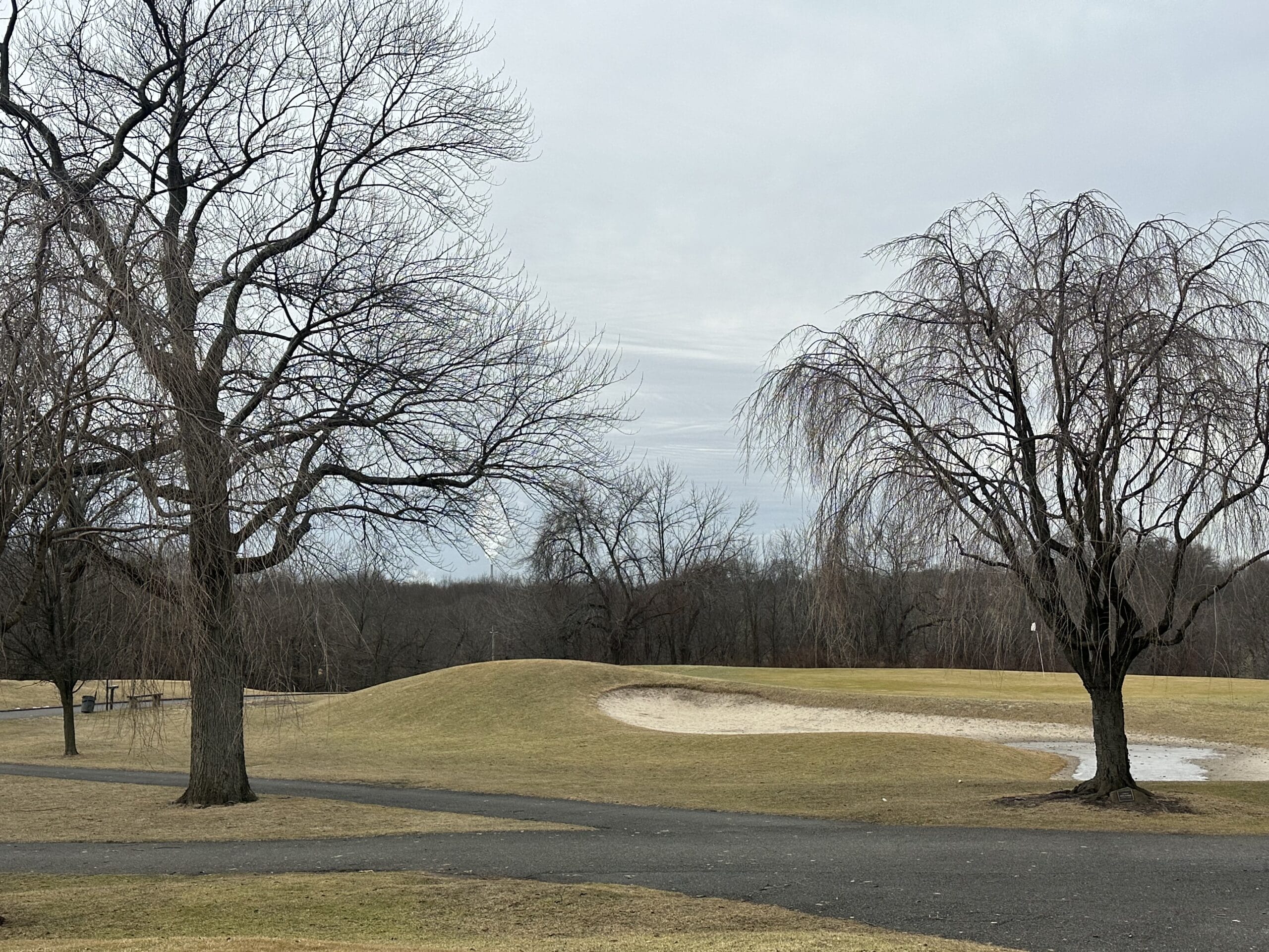 Latourette Hero Image